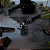 Jogo Bramble: The Mountain King - PS5 Mídia Digital - Imagem 3