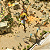 Jogo Egypt City Builder - PS4 Mídia Digital - Imagem 6