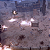 Jogo Egypt City Builder - PS5 Mídia Digital - Imagem 3