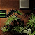 Jogo Drug Dealer Simulator 2 - PS5 Mídia Digital - Imagem 3