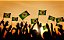 BANDEIRA DO BRASIL TECIDO 90x140m BL - Imagem 5