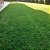 Grama Esmeralda - M² - Imagem 2
