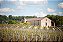 Chateau Cap De Faugeres - Cap De Faugeres Aop Castillon Cote De Bordeaux - Rouge - 2018 - 0,75 - Imagem 6