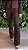 Calça Feminina Boot Cut Media - Imagem 3