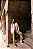 Conjunto Bicolor Modern - Imagem 4