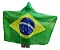Bandeira Capa do Brasil 1,5x0,90m Poliéster - Imagem 1