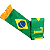 CACHECOL DE CETIM CORES DA BANDEIRA DO BRASIL 15X135CM - Imagem 4