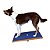 FitPaws Giant Rocker Board 762x762 - Imagem 4