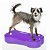 Plataforma de Treinamento de Equilíbrio Inflável FitPAWS® K9Fitbone para Cães - Imagem 1
