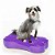 Plataforma de Treinamento de Equilíbrio Inflável FitPAWS® K9Fitbone para Cães - Imagem 2