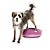 Disco de Equilíbrio Inflável FitPAWS Para Cães - Imagem 3