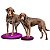 Disco de Equilíbrio Inflável FitPAWS Para Cães - Imagem 5