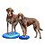 Disco de Equilíbrio Inflável FitPAWS Para Cães - Imagem 2