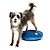 Disco de Equilíbrio Inflável FitPAWS Para Cães - Imagem 6