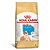 Ração Royal Canin Puppy para Cães Filhotes da Raça Bulldog Inglês 10 kg - Imagem 1