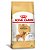 Ração Royal Canin para Cães Adultos da Raça Golden Retriever 10,1kg - Imagem 1