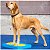 Discos Flexíveis FitPaws Targets - Imagem 3
