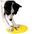 Discos Flexíveis FitPaws Targets - Imagem 4