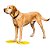 Discos Flexíveis FitPaws Targets - Imagem 2