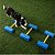 Equipamento FitPaws FitKinect - Imagem 3