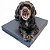 Conjunto Balance Pad FitPaws com Capa Protetora Antiderrapante - Imagem 1