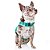 Peitoral e Coleira Martingale Calmante Sleepypod para Cães - Imagem 5