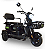 Triciclo Elétrico  Modelo WD-10 - Imagem 1