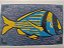 Salema Azul Policromática Linogravura A3 - Imagem 5