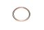 Gasket - PN 06E19769-1-00 - Imagem 1