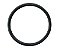 O-Ring - PN MS28775-020 - Imagem 1