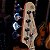 Baixo 4 Cordas Sx Vintage Jazz Bass Sjb75 Natural - Imagem 6