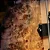 Baixo 5 Cordas Ativo Spector Euro CST 5 Natural Black Burst Gloss - Imagem 3
