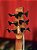 Baixo 6 Cordas Ativo Ibanez SR Workshop SRMS806 Brown Topaz Burst - Imagem 8