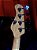 Baixo 5 Cordas Ativo Mayones Jabba Dirty Sunburst 2019 - Imagem 9