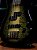 Baixo 4 Cordas Ativo Spector Icon NS-2 Neck Through Haunted Moss - Imagem 4