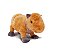 CAPIVARA GD MENINO - Imagem 1