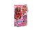 HYC23 BARBIE DREAM BESTIES TERESA - Imagem 2