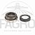(ITEM PROMOCIONAL) CONJUNTO SELO VEDAÇÃO DA BOMBA FKM (VITON) COM COPO E MOLA EM AÇO - BANJO - Imagem 1