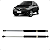 Par Amortecedor Porta Malas Renault Clio 2015 2016 - Imagem 1
