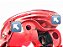 Lanterna Direita Volkswagen Fox 2010 2011 a 2014 Detalhe - Imagem 3