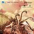 Action Figure Ghidorah Monsterverse Godzilla - Original Hiya - Imagem 5