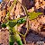 Action Figure Hank The Ranger Dungeons & Dragons ULTIMATES! Wave 1 - Original Super7 - Imagem 3