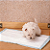 Tapete Higiênico Para Cachorro 80x60 - Kit com 90 unidades - Imagem 6