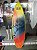 Pranchas de Surf Real Magia - Imagem 6