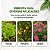 Tesoura Poda Jardim Galhos Folhas - Imagem 4