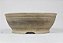 05092026_18 - Vaso Redondo - 19 x 6,5 cm - Imagem 1