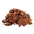 Anis-Estrelado - 10g - Imagem 1