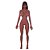 Boneca Realística - Sex Doll - T017 - 158 cm - Imagem 4
