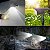 Refletor Solar Ecoforce 10 Leds 200x Branco Quente Amarela e Branca Frio Spot Jardim Luminária - Imagem 3