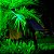 Refletor Solar Ecoforce 10 Leds 200x Verde Spot Jardim Luminária - Imagem 4